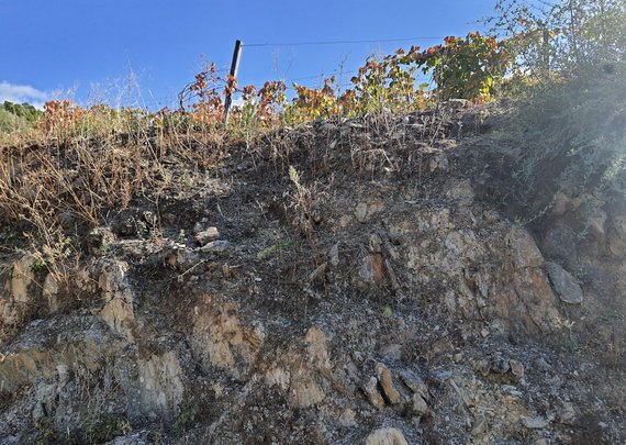 Aband - o solo5 (by Tiago Alves de Sousa)