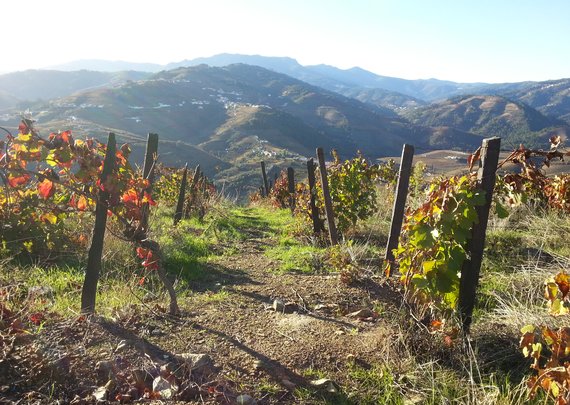 Aband 1 -2012-10-28_1 (by Catarina Sousa)