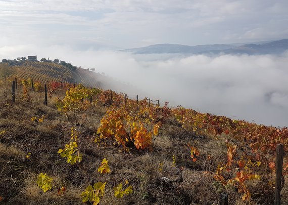 Aband 2 (2014 by Ricardo Palma Veiga)