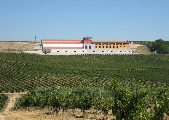 FOTO adega CampolargoI