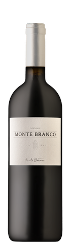 monte_branco_19_rec_new